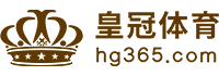 Logo 必发